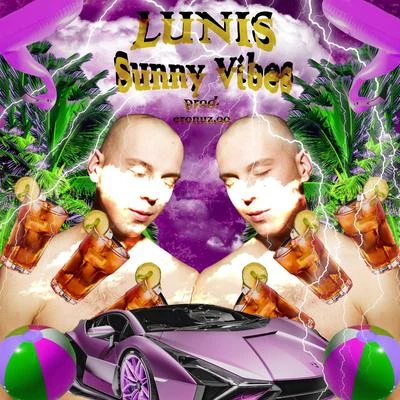 Sunny Vibes 专辑 Xtienne/El Cacto/Lunis/2Hounds