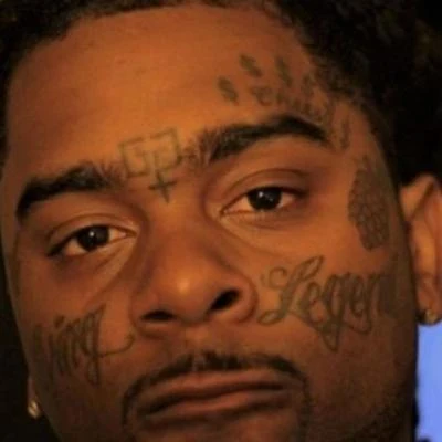 03 Greedo MollyNever