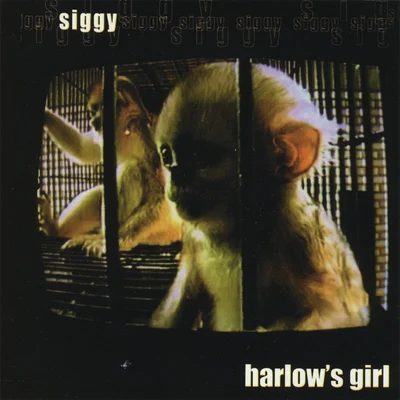 Harlows Girl 專輯 Gallego/Siggy