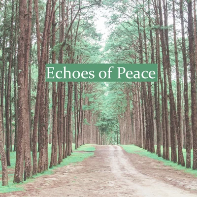 Echoes of Peace - New Age Music to Cure Insomnia, Relaxing Music, Zen, Sound Therapy with Nature Sounds, Relaxation & Meditation for Stress Relief, SP 專輯 The Message/Incremental/Meditation