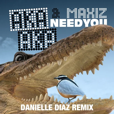 Need You (Danielle Diaz Remix) 專輯 AKA AKA