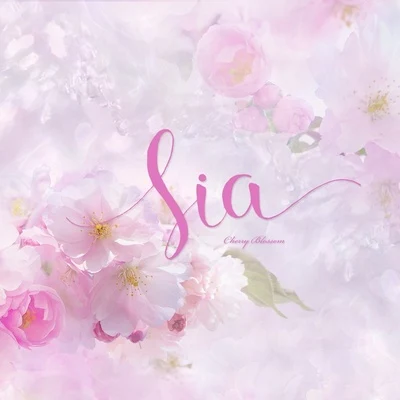 벚꽃 지던 날 專輯 Sia