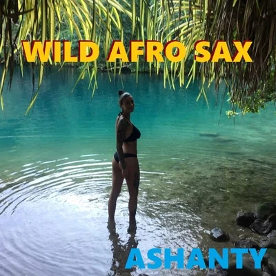 WILD AFRO SAX (Afro Sax Ashanty) 专辑 DJ Kim/Ashanty