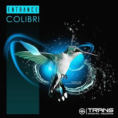 Colibri 专辑 Entrance/Jam in the Van