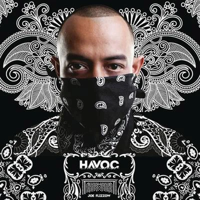 Havoc 专辑 Joe Flizzow