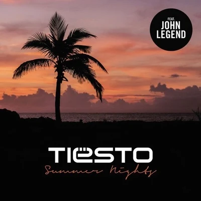 Summer Nights (Tiësto Deep Mix) 專輯 Tiesto