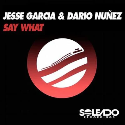 Say What 专辑 Moree Mk/Dario Nunez