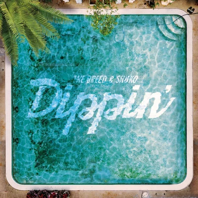 Dippin 專輯 The Breed/Tesk/B-Side/Knowmadic/Mr Slipz