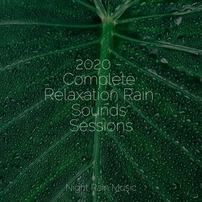 2020 - Complete Relaxation Rain Sounds Sessions 专辑 Asian Zen: Spa Music Meditation/Rain Storm Sample Library/Massage