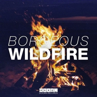 Wildfire 專輯 Borgeous