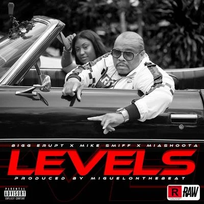 Levels 专辑 MIKE SMIFF