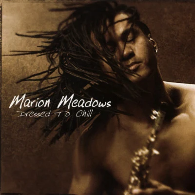 Dressed To Chill 专辑 Marion Meadows/Russ Freeman/Vivian Green/Bob Baldwin/Paul Brown