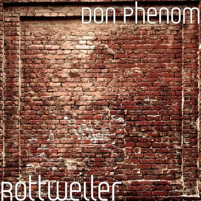 Rottweiler 专辑 Ronela Hajati/Don Phenom