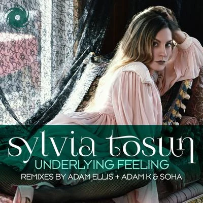 Underlying Feeling (Adam Ellis & Adam K & Soha Remixes) 專輯 Sylvia Tosun/The Space Brothers/Meighan Nealon/Robert Miles/York