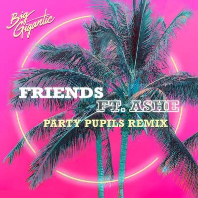 Big Gigantic Friends (Party Pupils Remix)