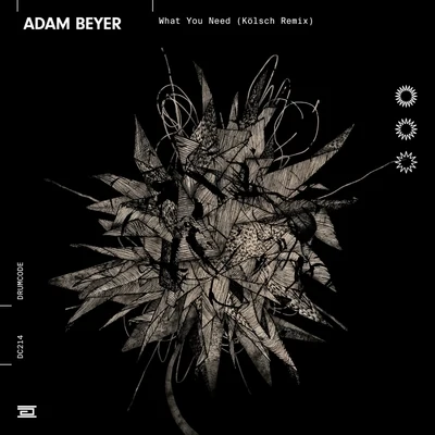 What You Need (Kölsch Remix) 专辑 Adam Beyer