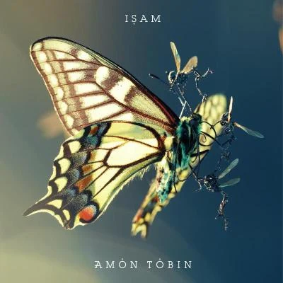 Amon Tobin ISAM