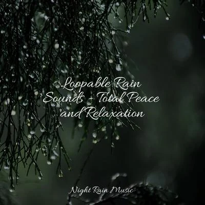 Loopable Rain Sounds - Total Peace and Relaxation 專輯 Best Kids Songs