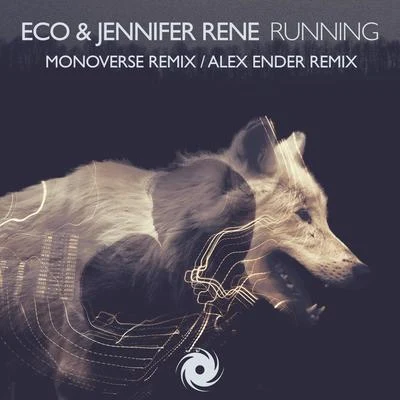 EcoMartin Roth Running (Remixes)