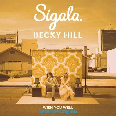 Wish You Well (Acoustic) 專輯 Sigala