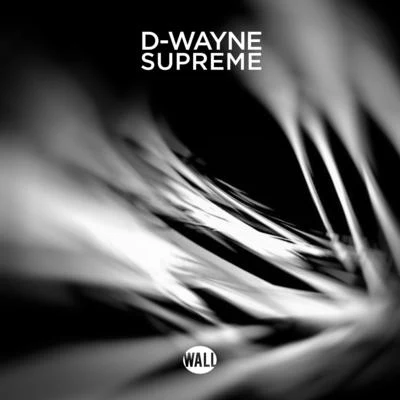 Supreme 專輯 D-wayne/Danthony