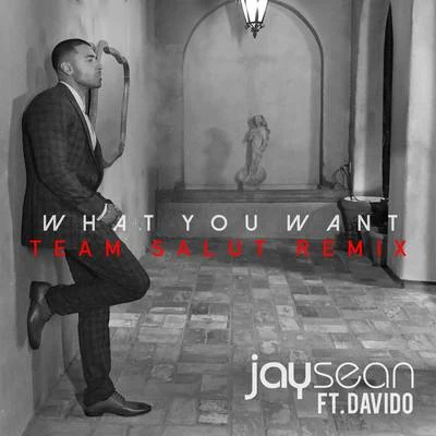 What You Want (Team Salut Remix) 专辑 Jay Sean