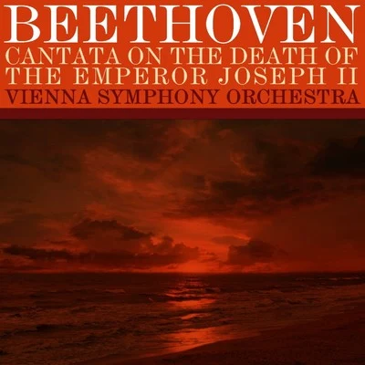 Cantata On The Death Of The Emperor Joseph II 專輯 Rosl Schwaiger/Vienna Symphony Orchestra/Waldemar Kmentt/Walter Berry/Gré Brouwenstijn