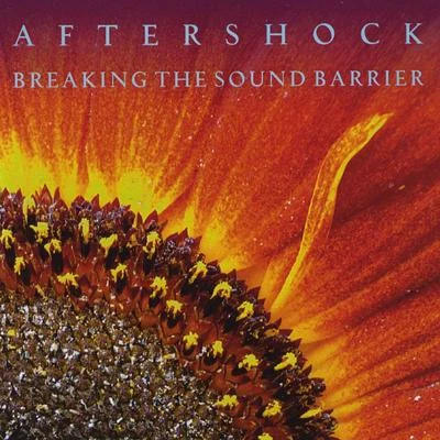 Aftershock Breaking the Sound Barrier