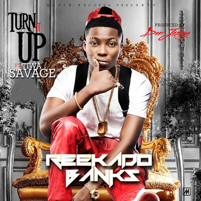 Turn It Up (feat. Tiwa Savage) 專輯 Ric Hassani/Reekado Banks/Peruzzi/Waje