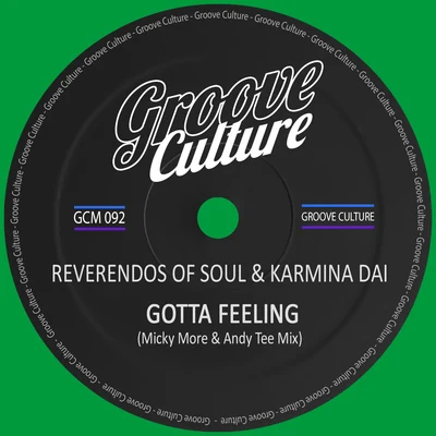 Gotta Feeling (Micky More & Andy Tee Club Mix) 专辑 Karmina Dai