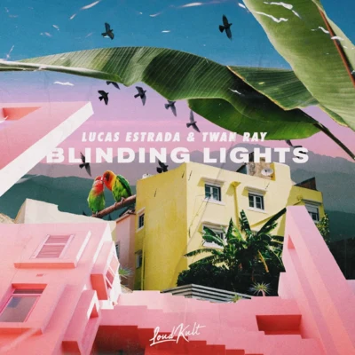 Blinding Lights 專輯 Lucas Estrada/NEIMY/Henri Purnell