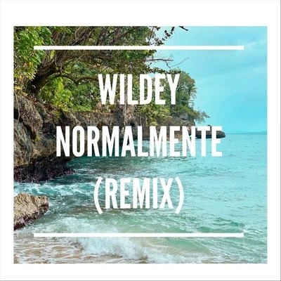 Normalmente (Remix) 專輯 Alvaro La Figura/Wildey/el yunti