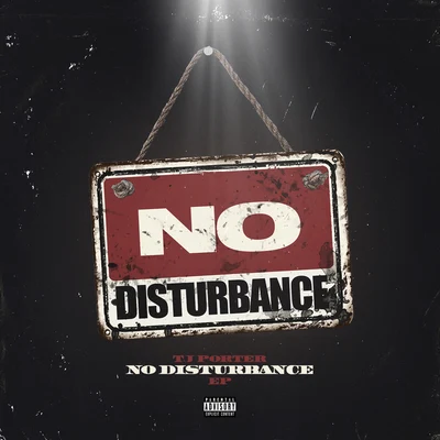 No Disturbance 專輯 Meg Donnelly/TJ Porter