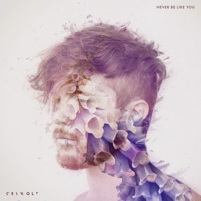 Never Be Like You (Flume Cover) 專輯 Crywolf/Ferry Corsten