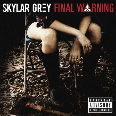 Final Warning 專輯 Skylar Grey