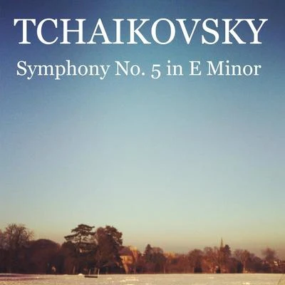 Tchaikovsky - Symphony No. 5 in E Minor, Op. 64 专辑 Ștefan Mureșanu/Dumitru D. Botez/Corul Radioteleviziunii Române/Constantin Silvestri/Orchestra