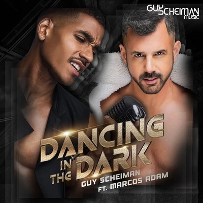 Dancing in the Dark 专辑 Guy Scheiman