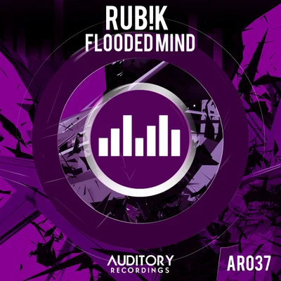 Flooded Mind 專輯 Rub!k