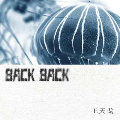 BACK BACK 專輯 王天戈