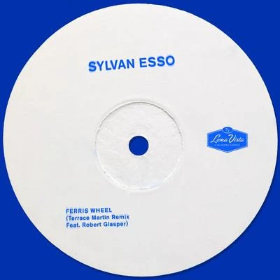 Sylvan Esso Ferris Wheel (Terrace Martin Remix)