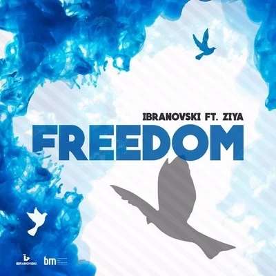 Freedom 专辑 Rebelshock/Ibranovski