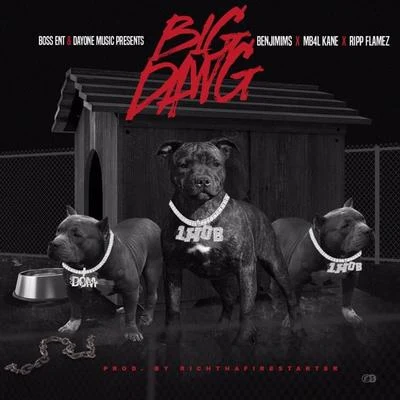 Big Dawg (feat. Ripp Flamez) 专辑 no sleep/Benjimims