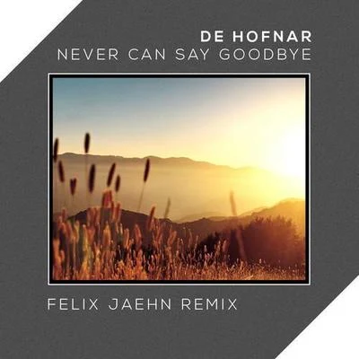 Never Can Say Goodbye (Felix Jaehn Remix) 專輯 De Hofnar