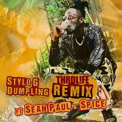 Dumpling (THRDL!FE Remix) 專輯 Spice