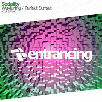 WayfaringPerfect Sunset 專輯 Sodality/Floe