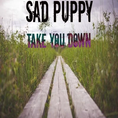 Take You Down (Radio Edit) 專輯 Sad Puppy