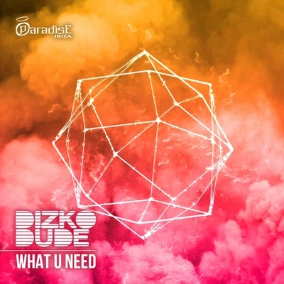 What U Need 專輯 Dizkodude