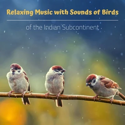 Relaxing Music with Sounds of Birds of the Indian Subcontinent 专辑 Bird Song Group/Bird Sounds