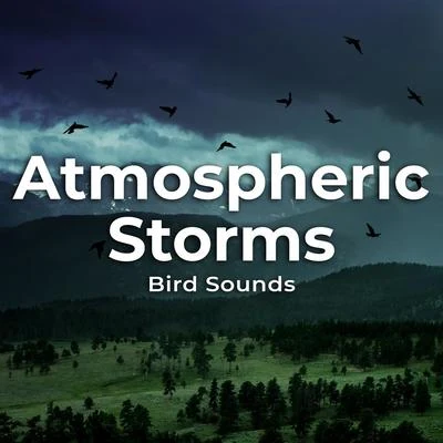 Atmospheric Storms 专辑 Bird Song Group/Bird Sounds