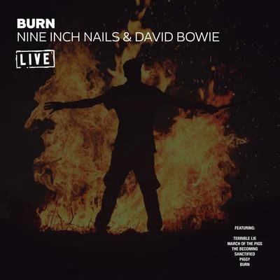 Burn (Live) 專輯 David Bowie